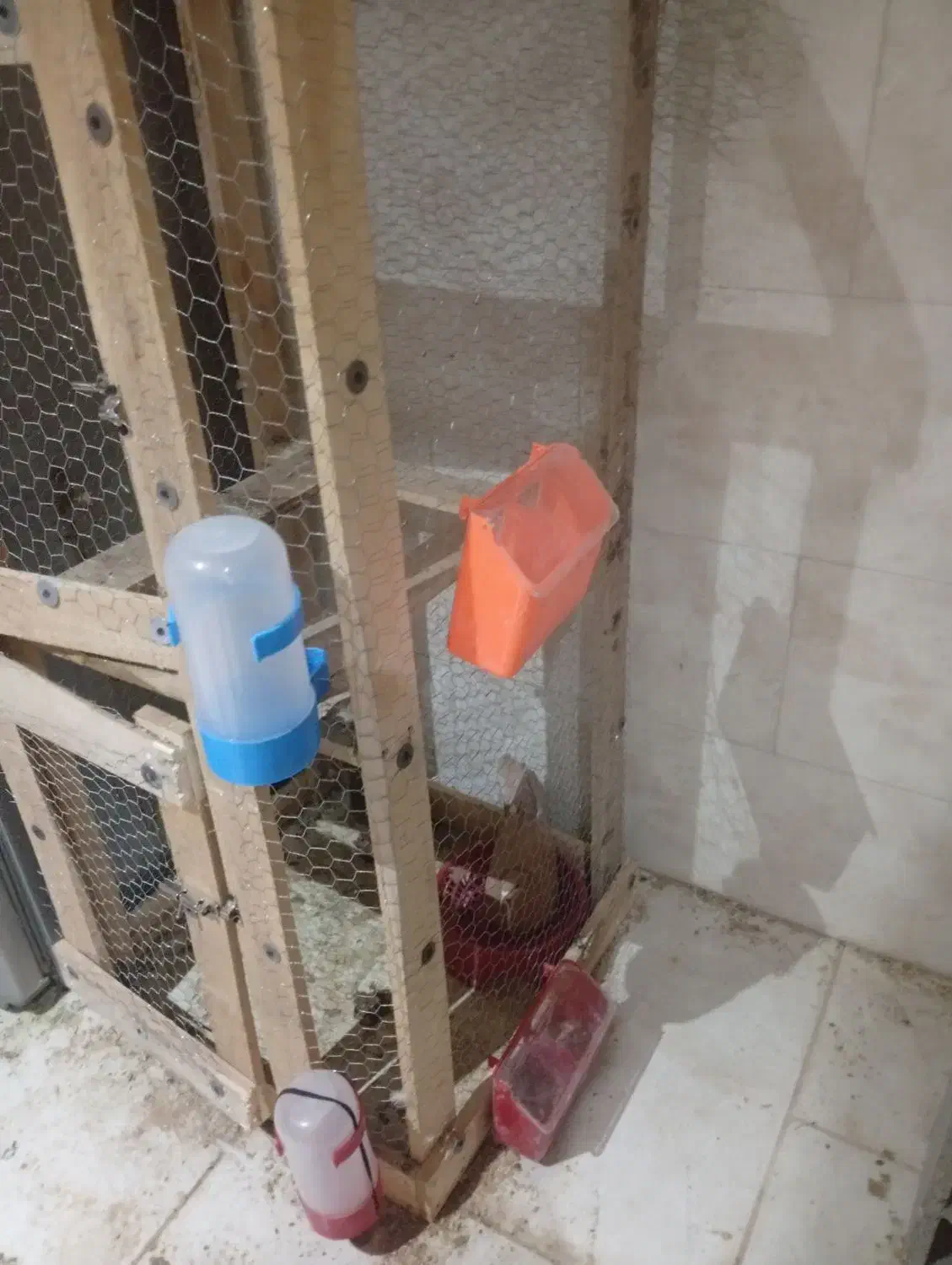 جفت کن کفتر|لوازم جانبی حیوانات|مهریز, |دیوار