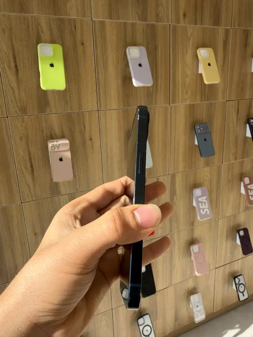 اپل iPhone 13 (128 گیگ)|موبایل|قم, شهرک قدس|دیوار