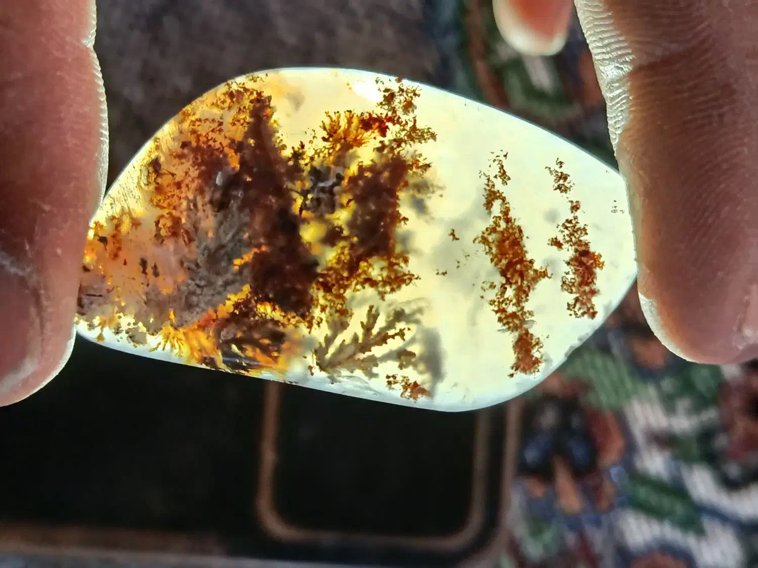 شجر منظره|کلکسیون اشیاء عتیقه|فردوس (خراسان), |دیوار