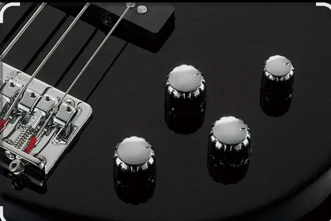 گیتار بیس آیبانز|گیتار، بیس، امپلیفایر|شیراز, میانرود|دیوار