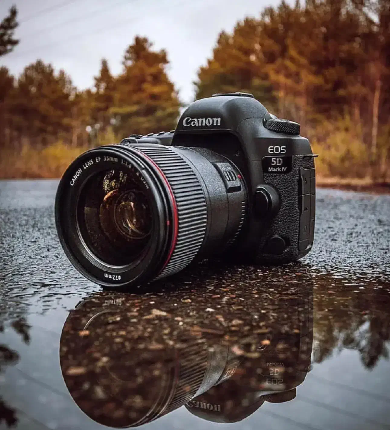 استخدام عکاسی فضای باز بدون نیاز اموزش و تجیهزات|استخدام هنری و رسانه|تبریز, |دیوار