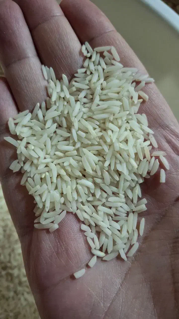 برنج هاشمی|خوردنی و آشامیدنی|رشت, شهریاران|دیوار