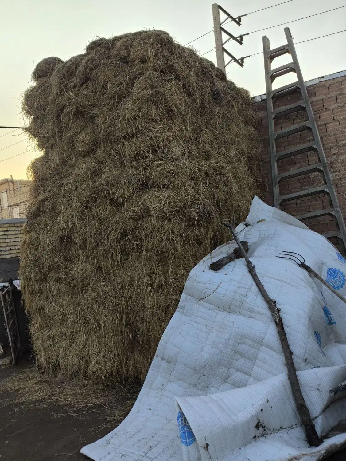 یونجه|لوازم جانبی حیوانات|فیرورق, |دیوار