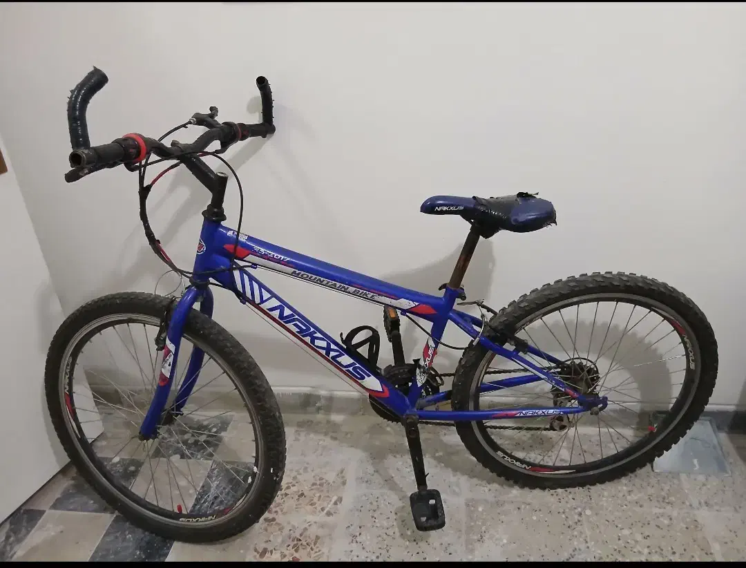 دوچرخه|دوچرخه، اسکیت، اسکوتر|شهر ری, فیروزآبادی|دیوار