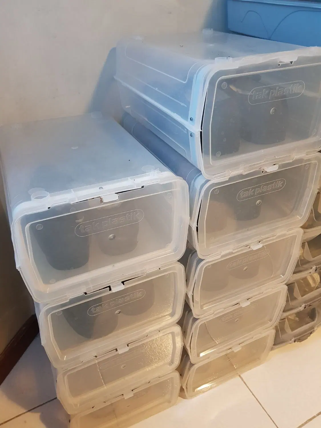 جاکفشی باکس جعبه نظم کفش تک پلاستیک TAK PLASTIK|جاکفشی، کمد، دراور|تهران, امیرآباد|دیوار