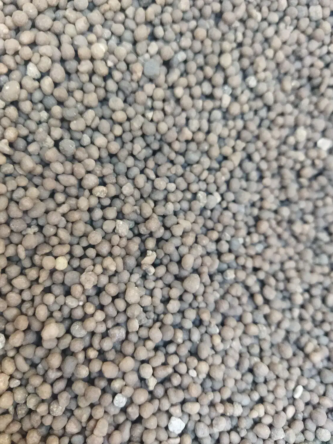 فروش کود شیمیایی|گل و گیاه طبیعی|جیرفت, |دیوار