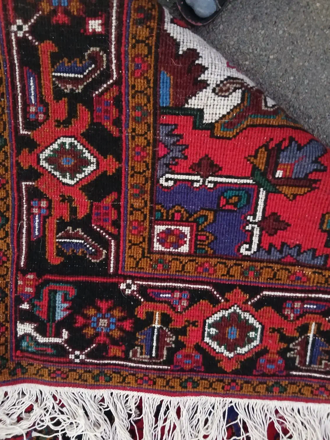 یک جفت فرش ۶متری دستبافت نونو|فرش|تبریز, |دیوار