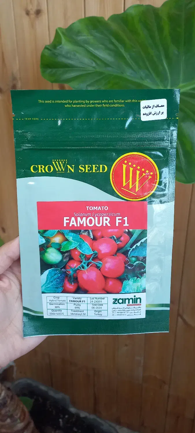 بذر گوجه فامور قیمت مناسب|حراج|میناب, |دیوار