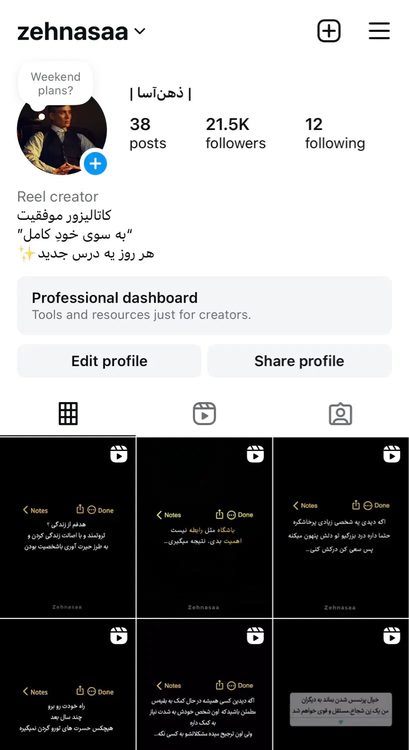 پیج ۲۱.۵ کا|لوازم جانبی موبایل و تبلت|تهران, بهار|دیوار