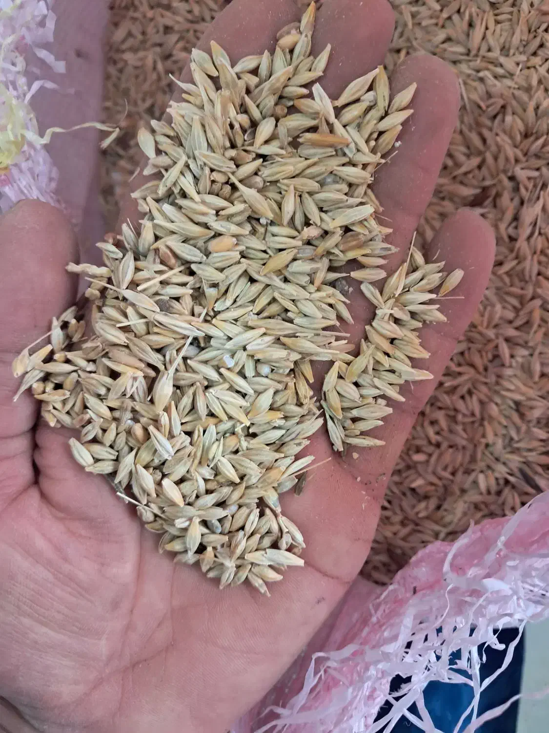 جو حیوانی ۲تن|عمدهفروشی|ویلکیج, |دیوار