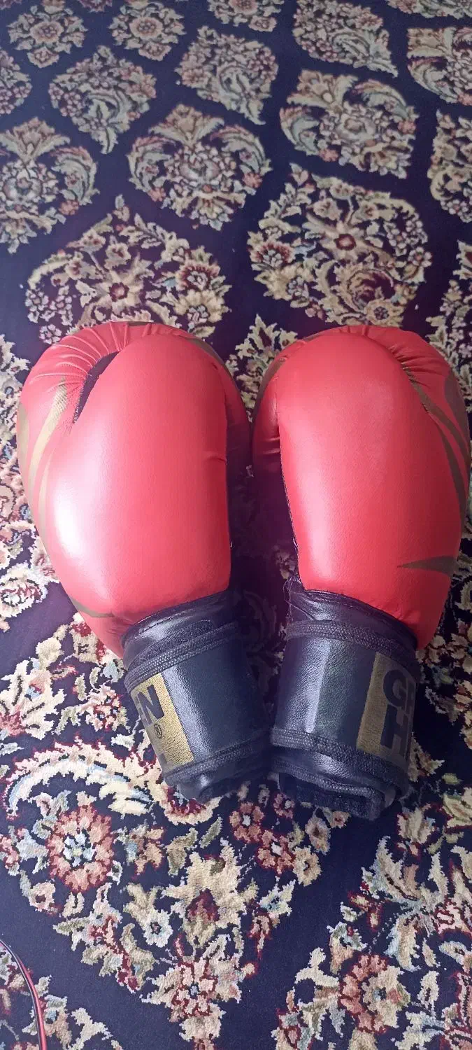 دستکش بوکس|تجهیزات ورزشی|الشتر, |دیوار