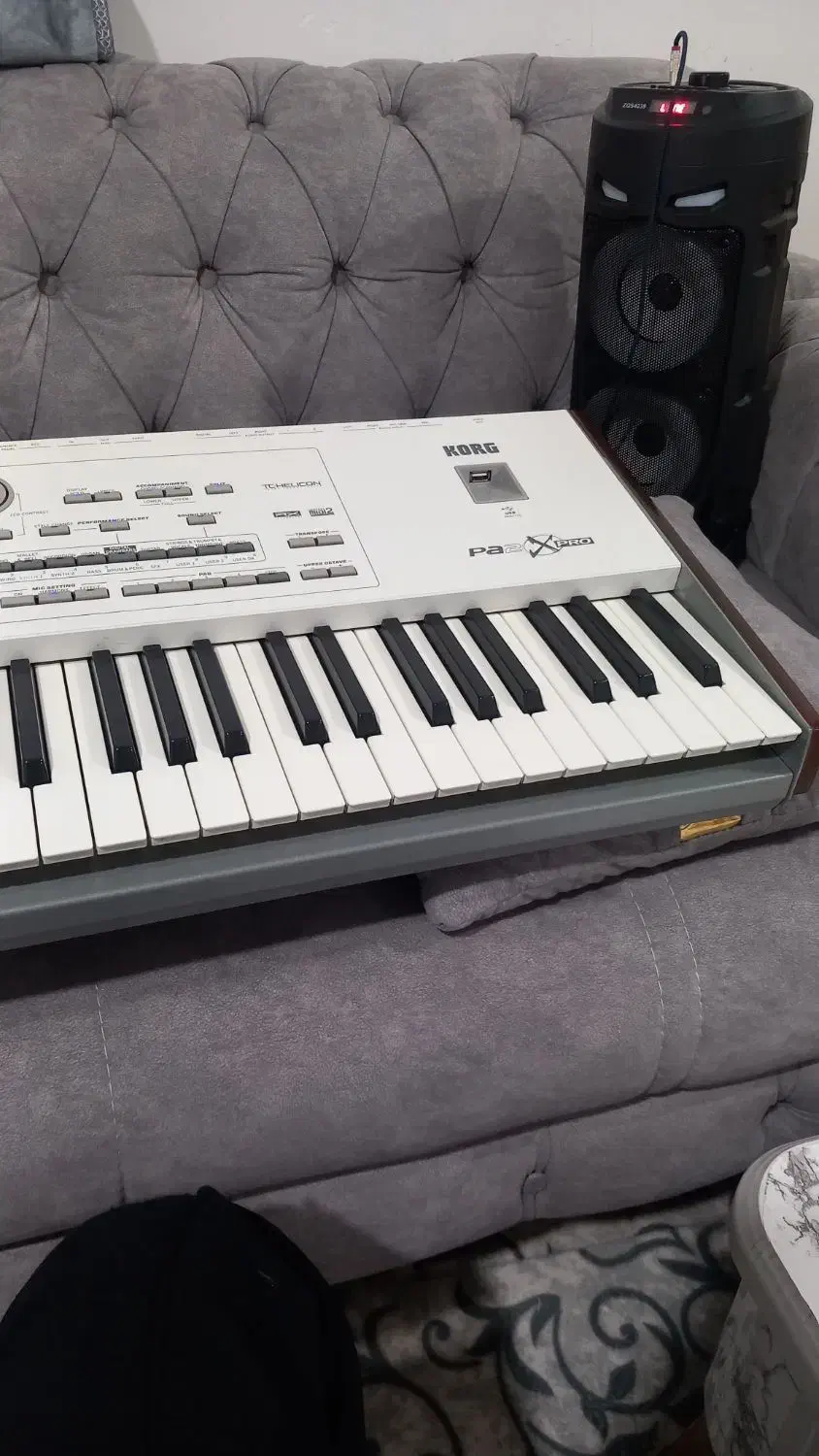 کرگpax2|پیانو، کیبورد، آکاردئون|اشنویه, |دیوار