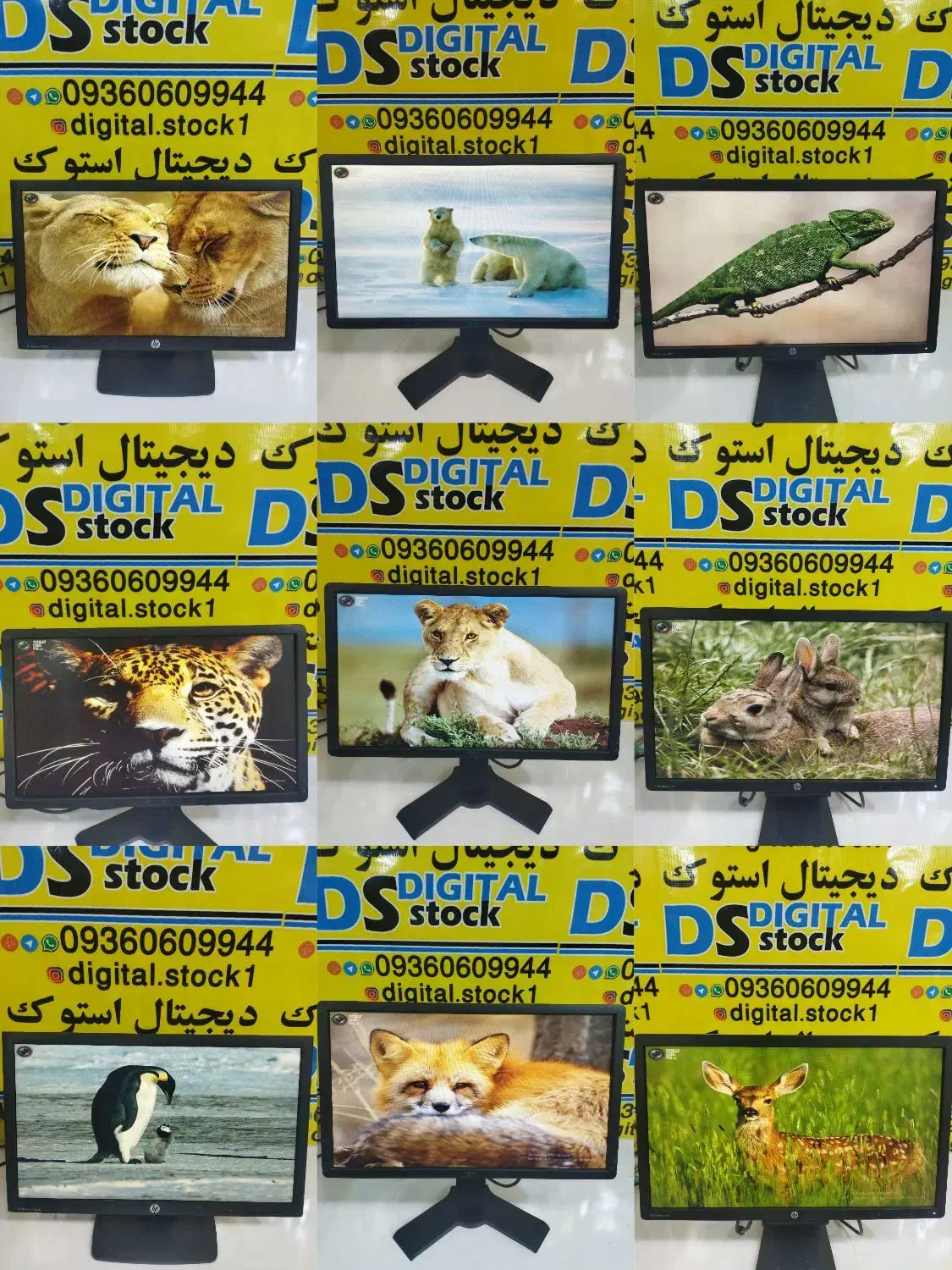 LED 22 DELL مانیتور|قطعات و لوازم جانبی رایانه|شوش, |دیوار