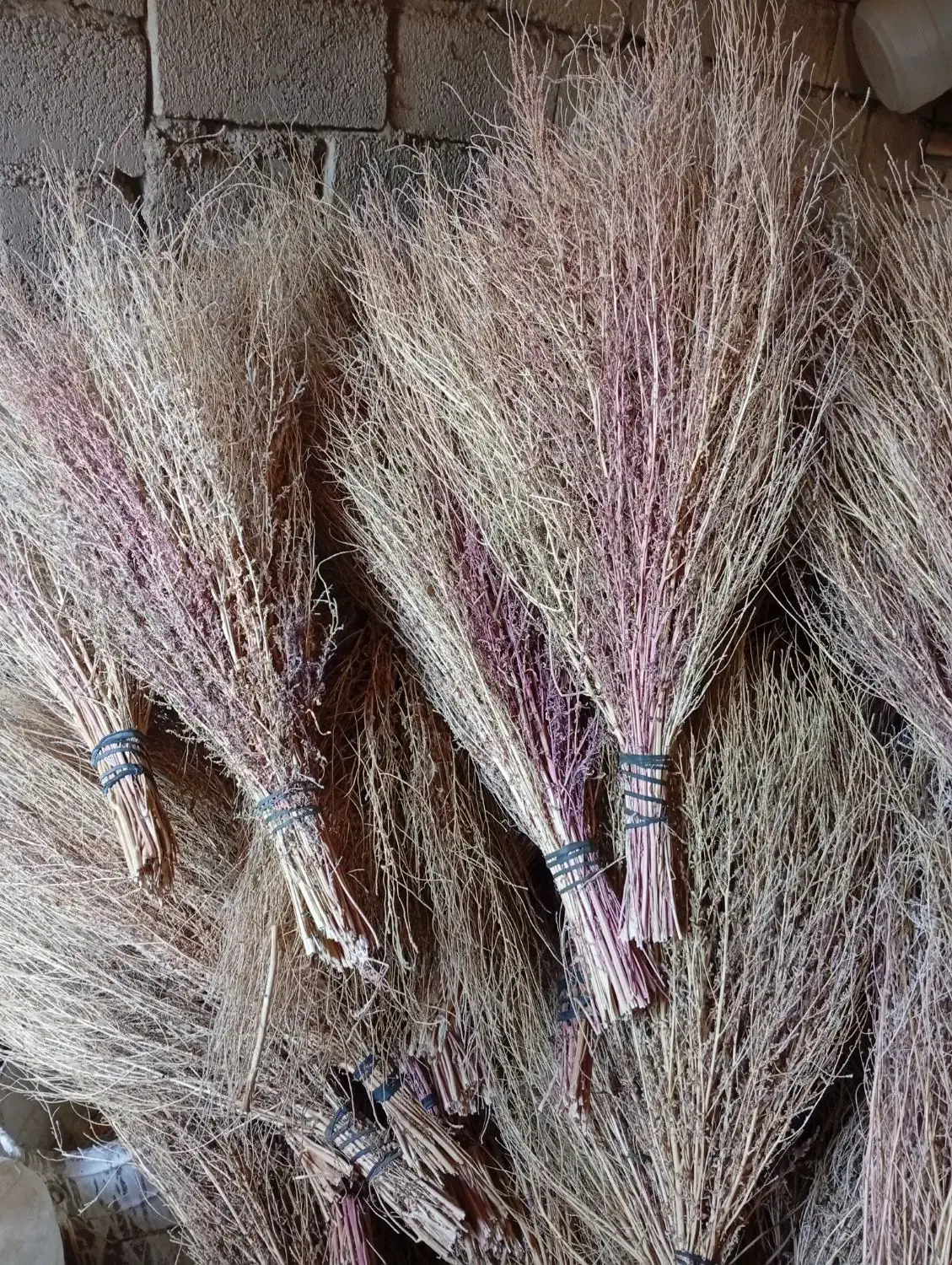 جارو|لوازم نظافت|سنقر, |دیوار