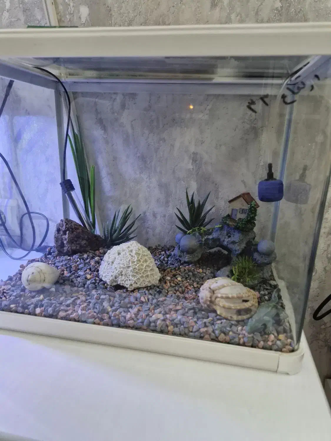 دوتا آکواریم برندشرکتی آکواهمراه تجهیزات|ماهی|تهران, چهارصد دستگاه|دیوار