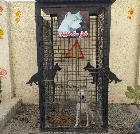 سگ نگهبان|سگ|ماهدشت, |دیوار