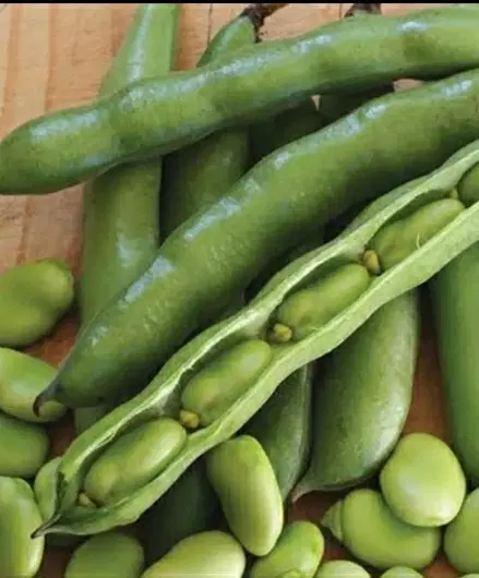 باقالی|خوردنی و آشامیدنی|اصفهان, کوی راه حق|دیوار