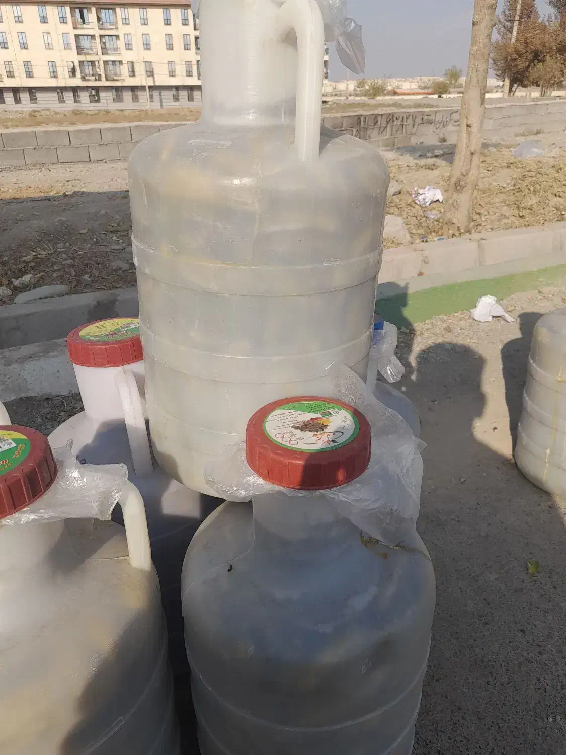 سلام خیارشور ویژه دبه ده کیلویی فت دار|خوردنی و آشامیدنی|محمدشهر, شهرک نگین|دیوار