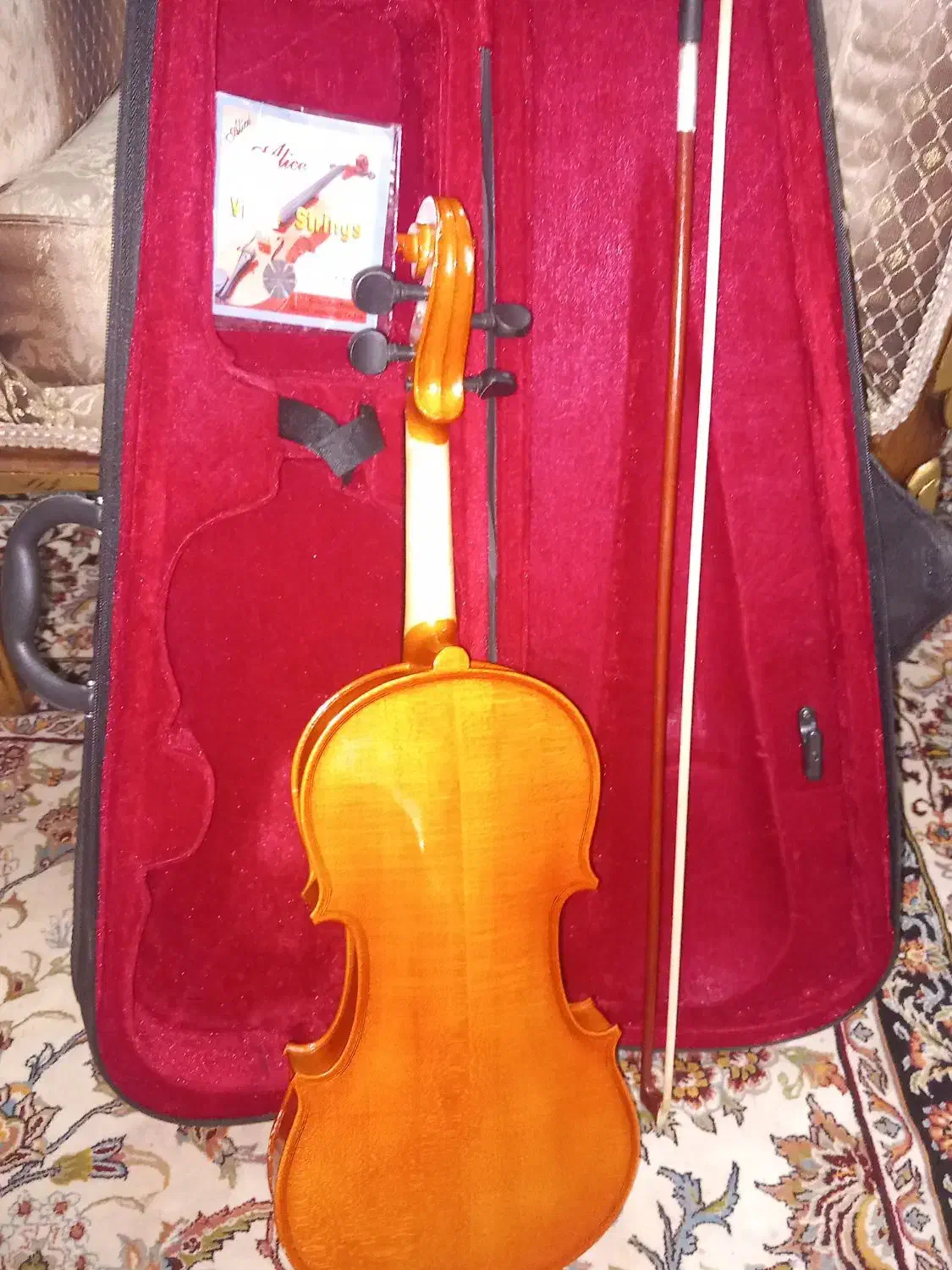 فروش ویولن 100. 4/4 همراه وسایلش|ویولن|کارون, |دیوار