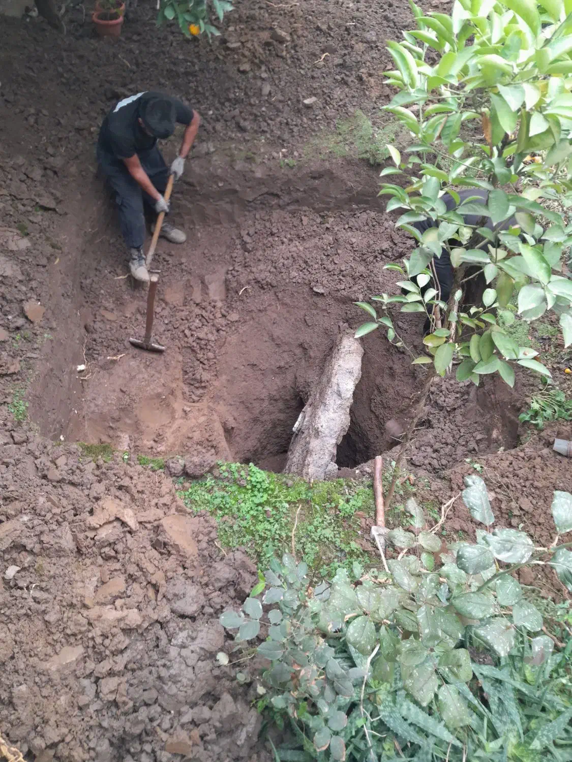 تخریب وچاه کنی...|خدمات پیشه و مهارت|علی‌آباد کتول, |دیوار