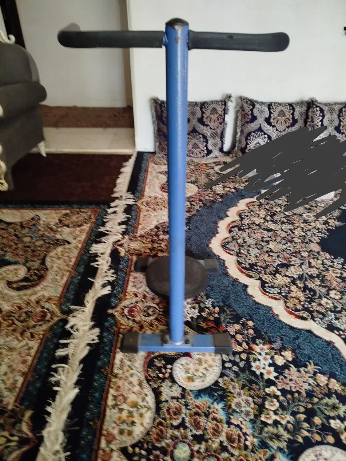 چرخونک ورزشی|تجهیزات ورزشی|شیراز, تندگویان|دیوار