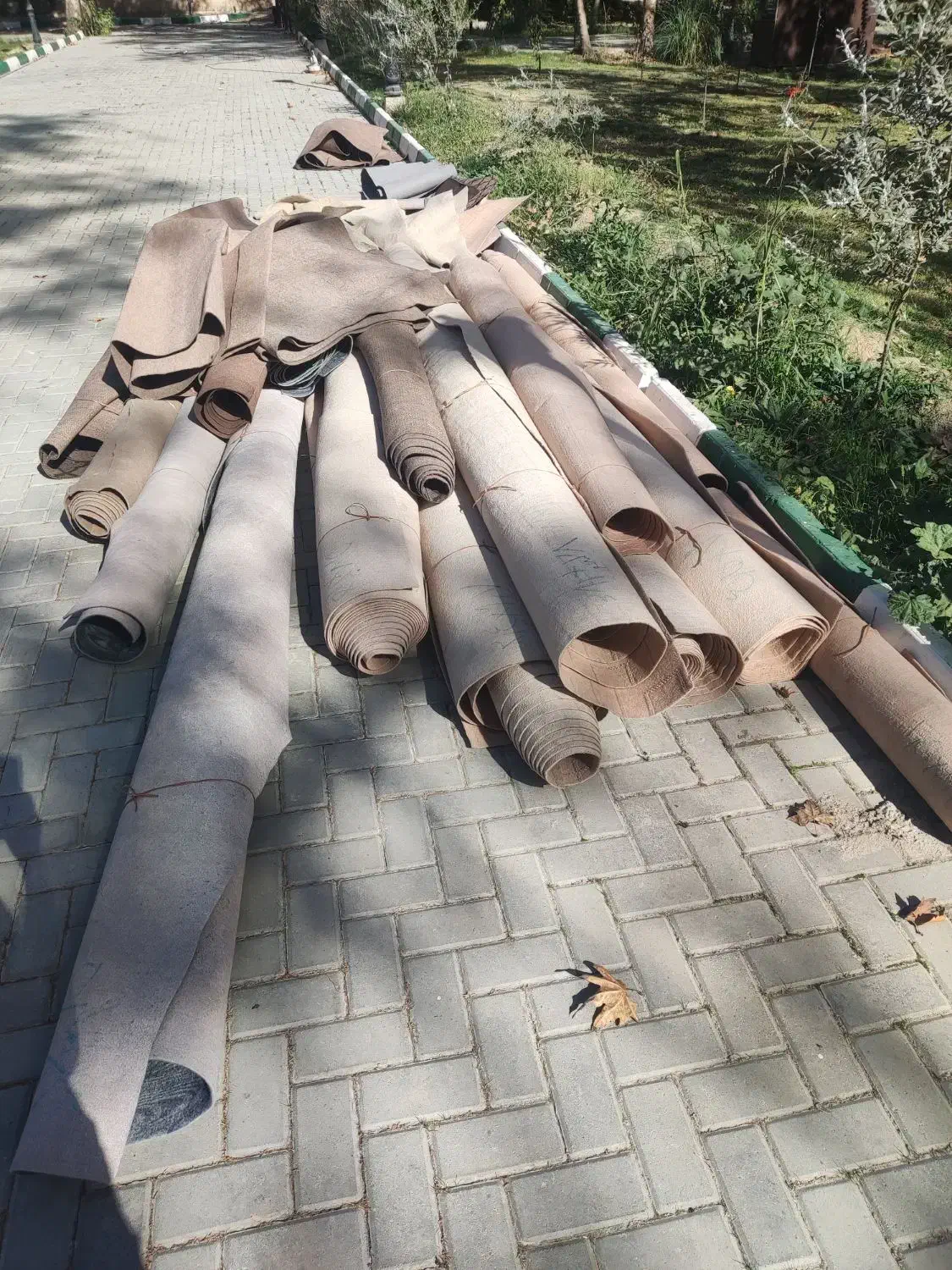 موکت طرح دار و ساده|موکت|تهران, سلسبیل شمالی|دیوار