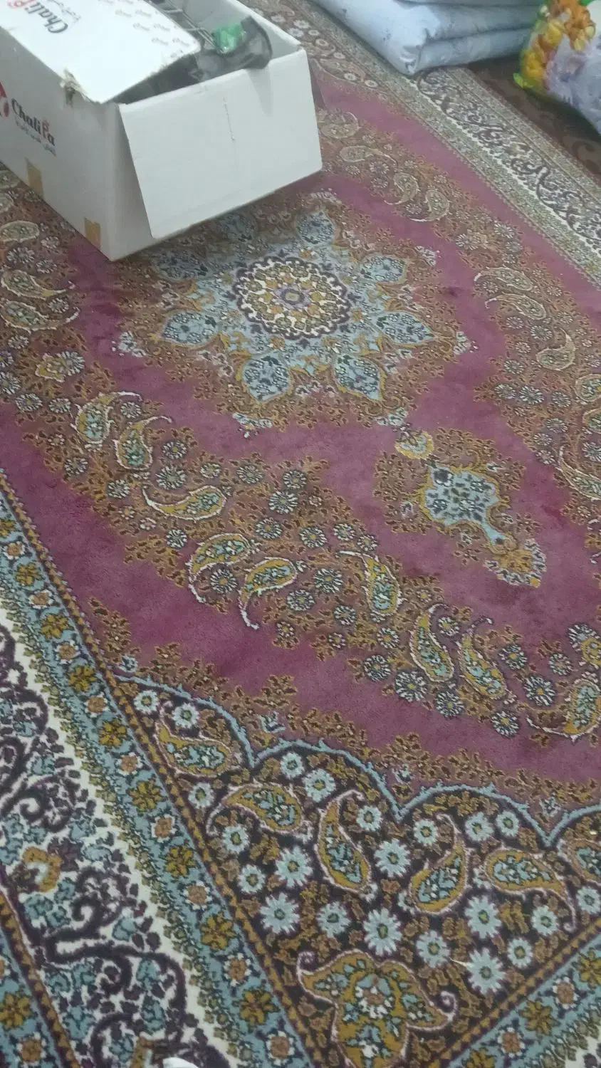 قرش و گلیم|فرش|فسا, |دیوار