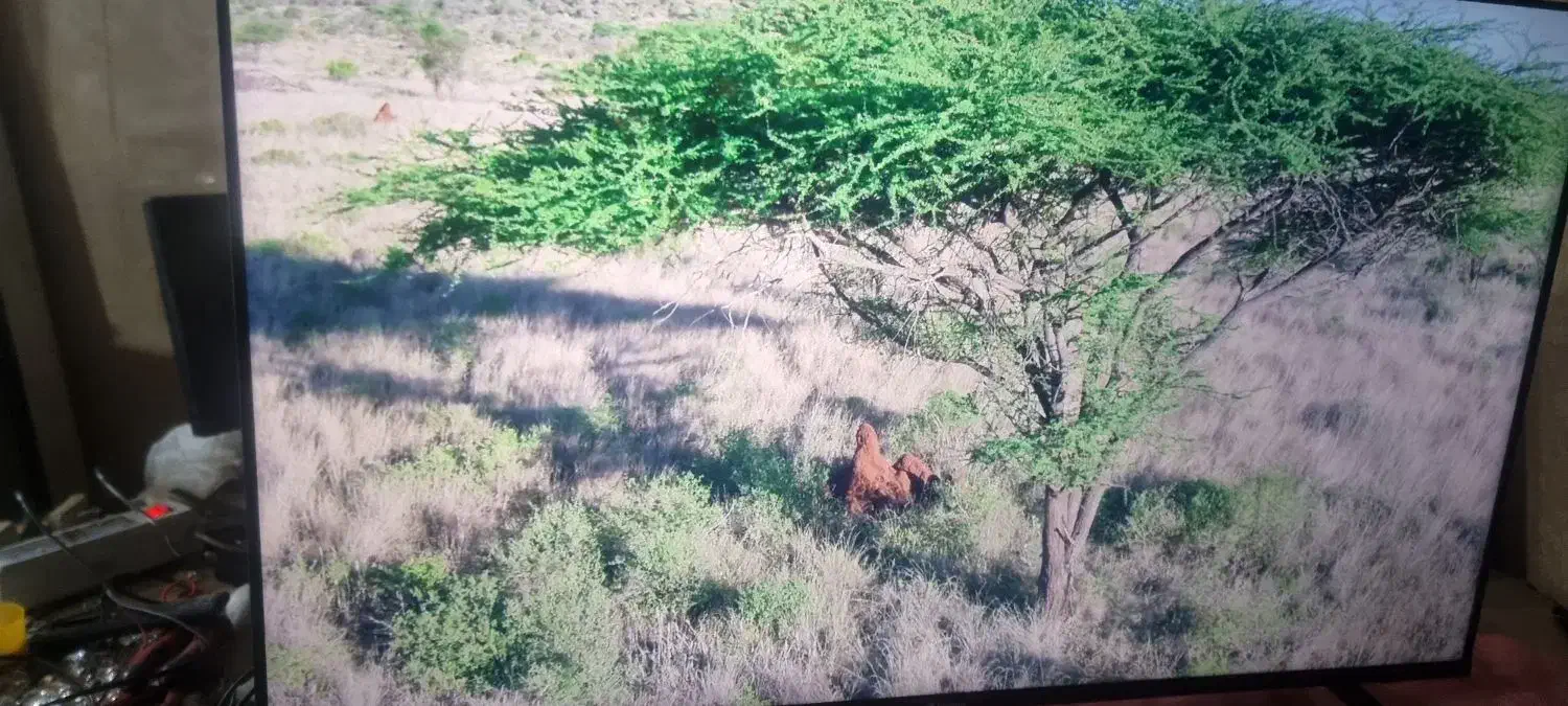 ال  ای دی 50 اسنوا|تلویزیون و پروژکتور|مریوان, |دیوار