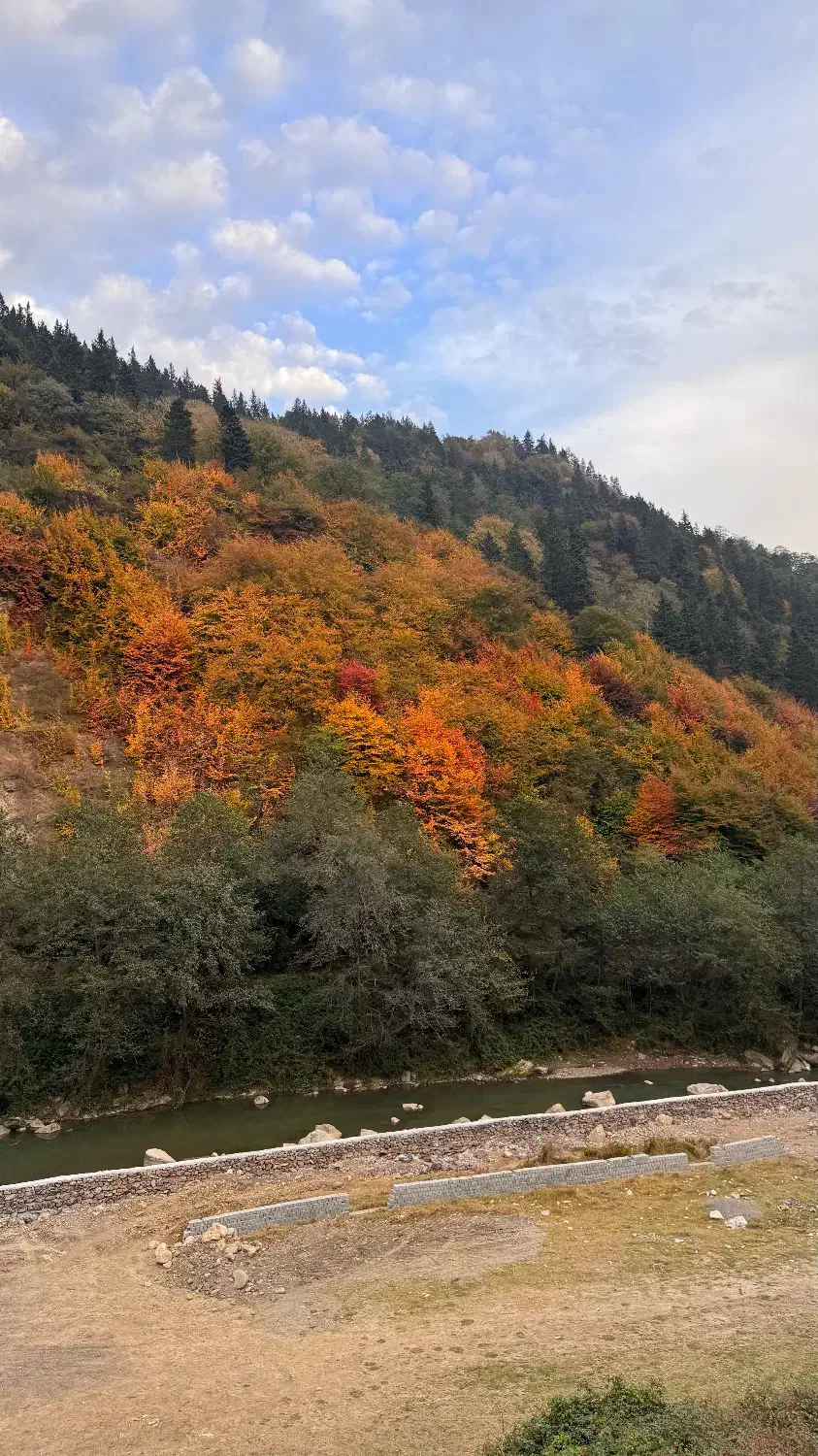 نیازمند کارگر ساده|استخدام سرایداری و نظافت|آلاشت, |دیوار