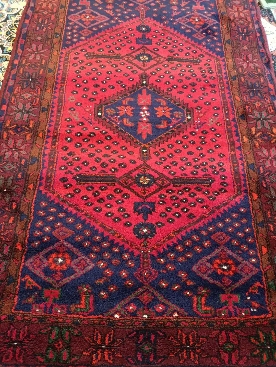 فرش دستبافت نبینی ضرر کردی|فرش|ماهیدشت, |دیوار