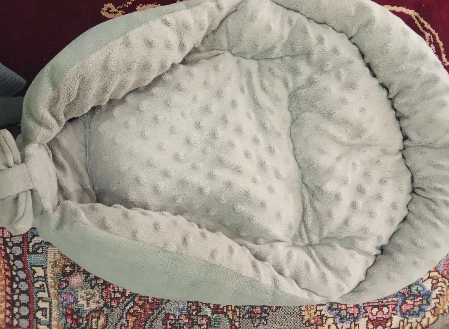 آغوشی|کالسکه و لوازم جانبی|بیرجند, |دیوار