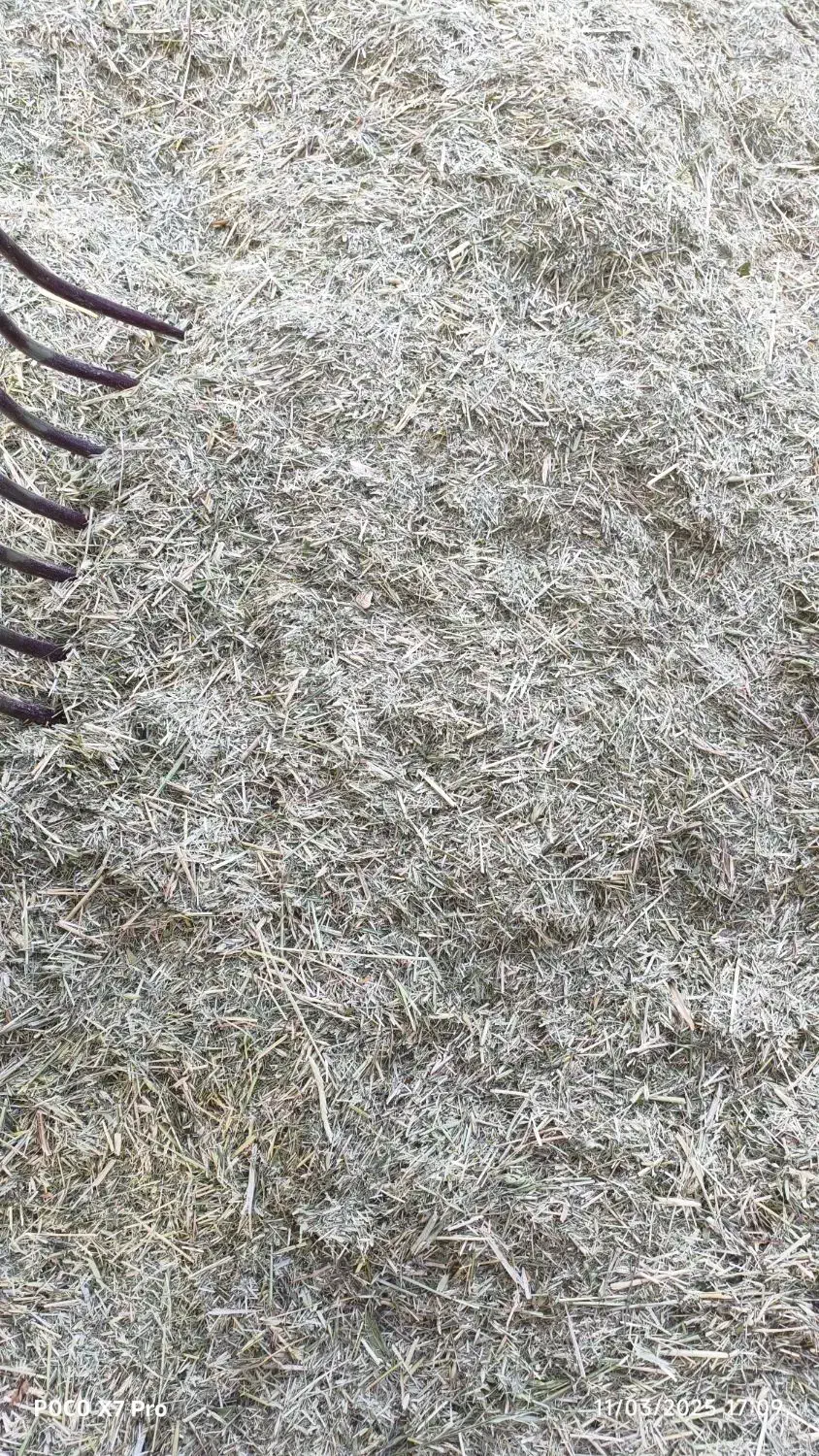 علف جار درجه یک|لوازم جانبی حیوانات|موچش, |دیوار