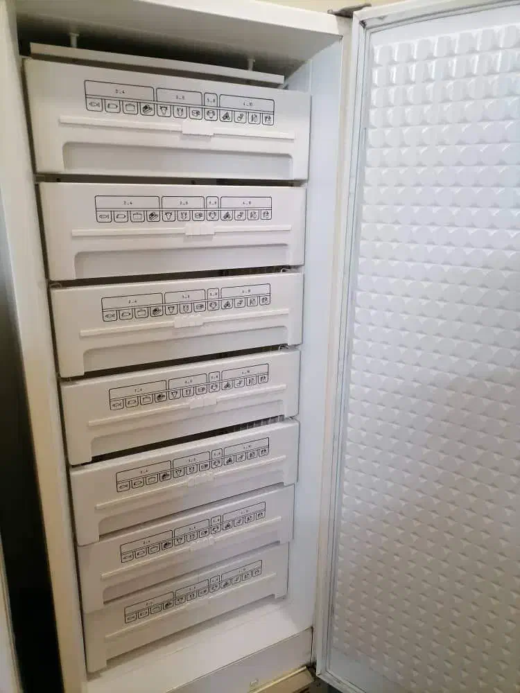 یخچال پارس|یخچال و فریزر|تهران, مسعودیه|دیوار