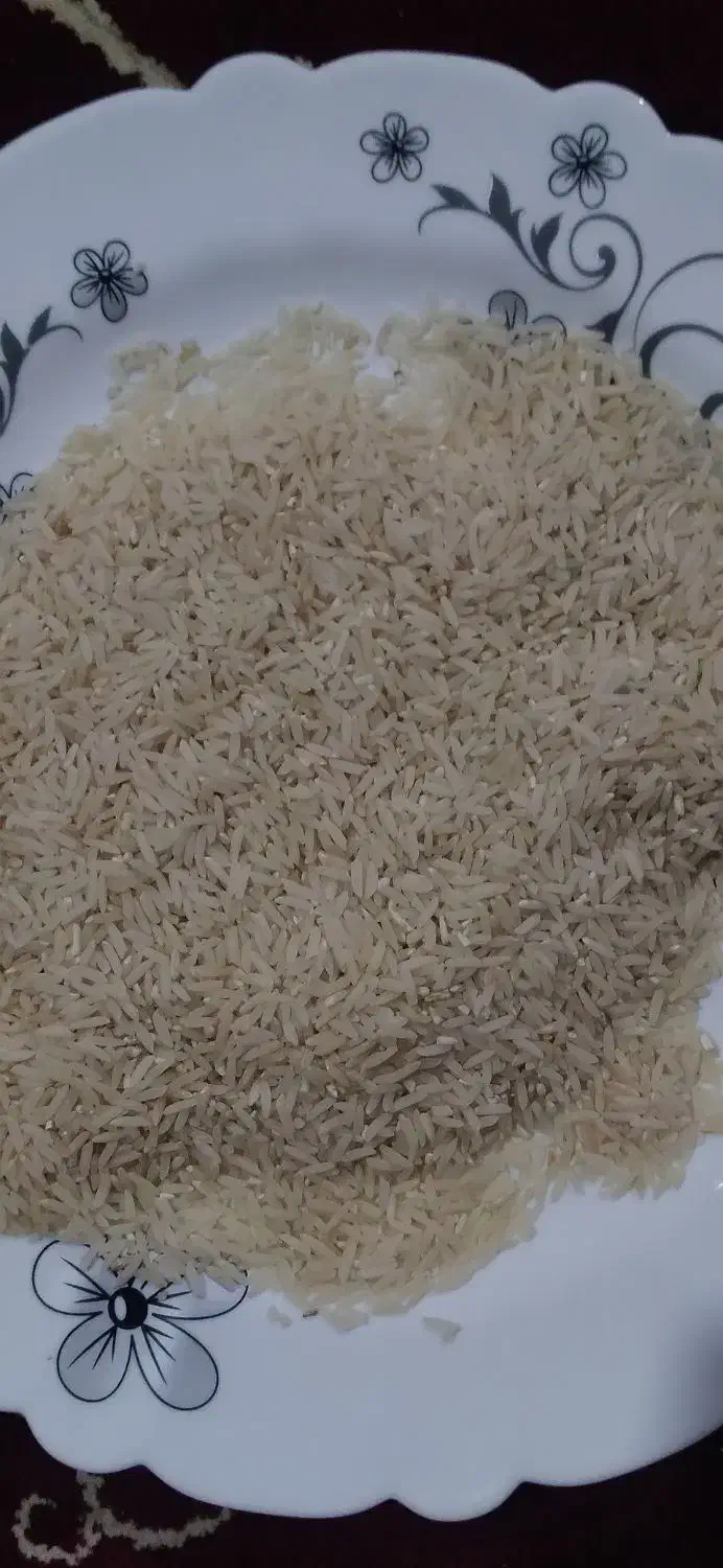 برنج فجر سوزنی درجه یک|خوردنی و آشامیدنی|گنبد کاووس, |دیوار