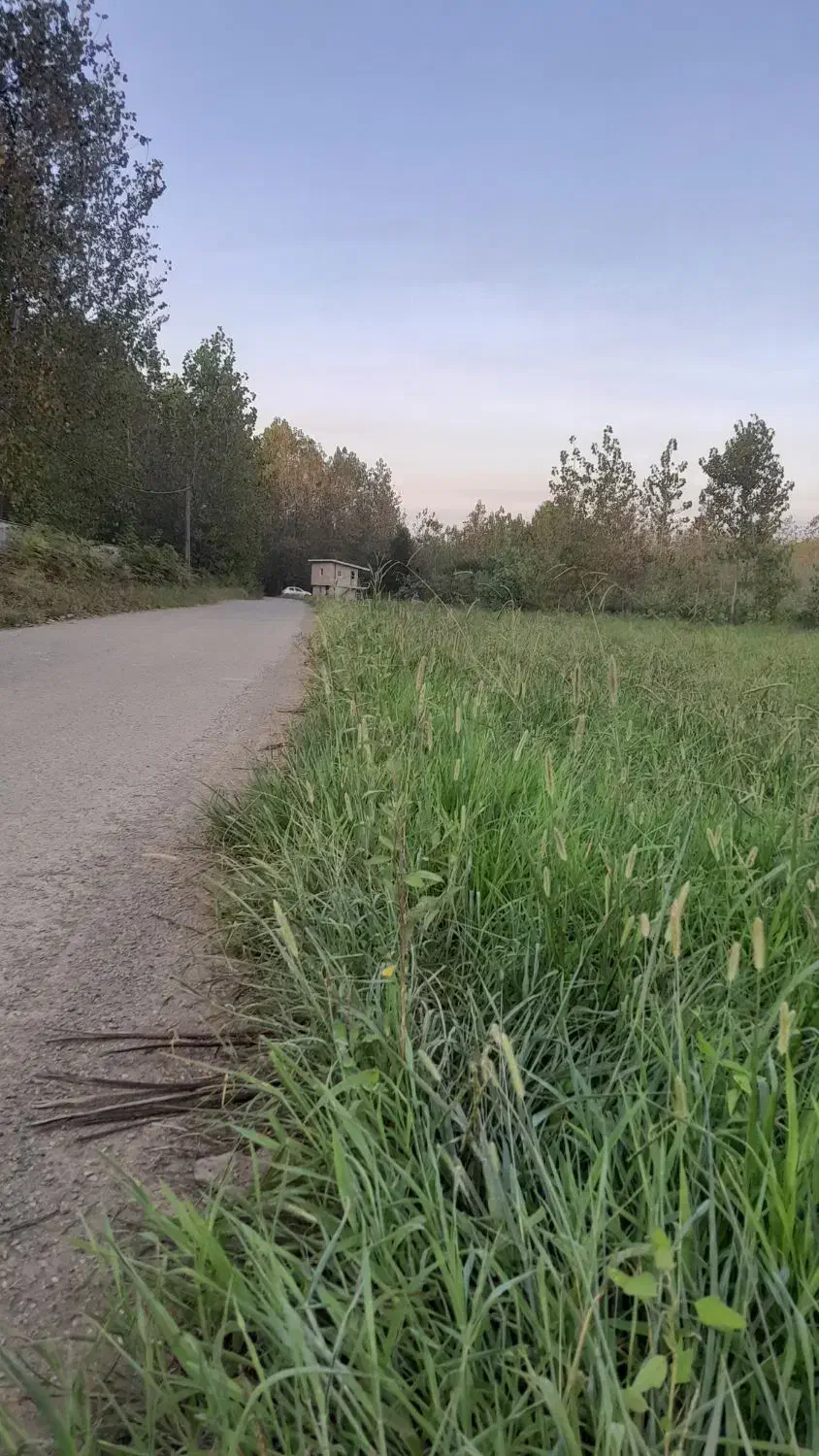 311 متر زمین/ بنا 40متری / انشعابات نصب|فروش زمین و ملک کلنگی|صومعهسرا, |دیوار