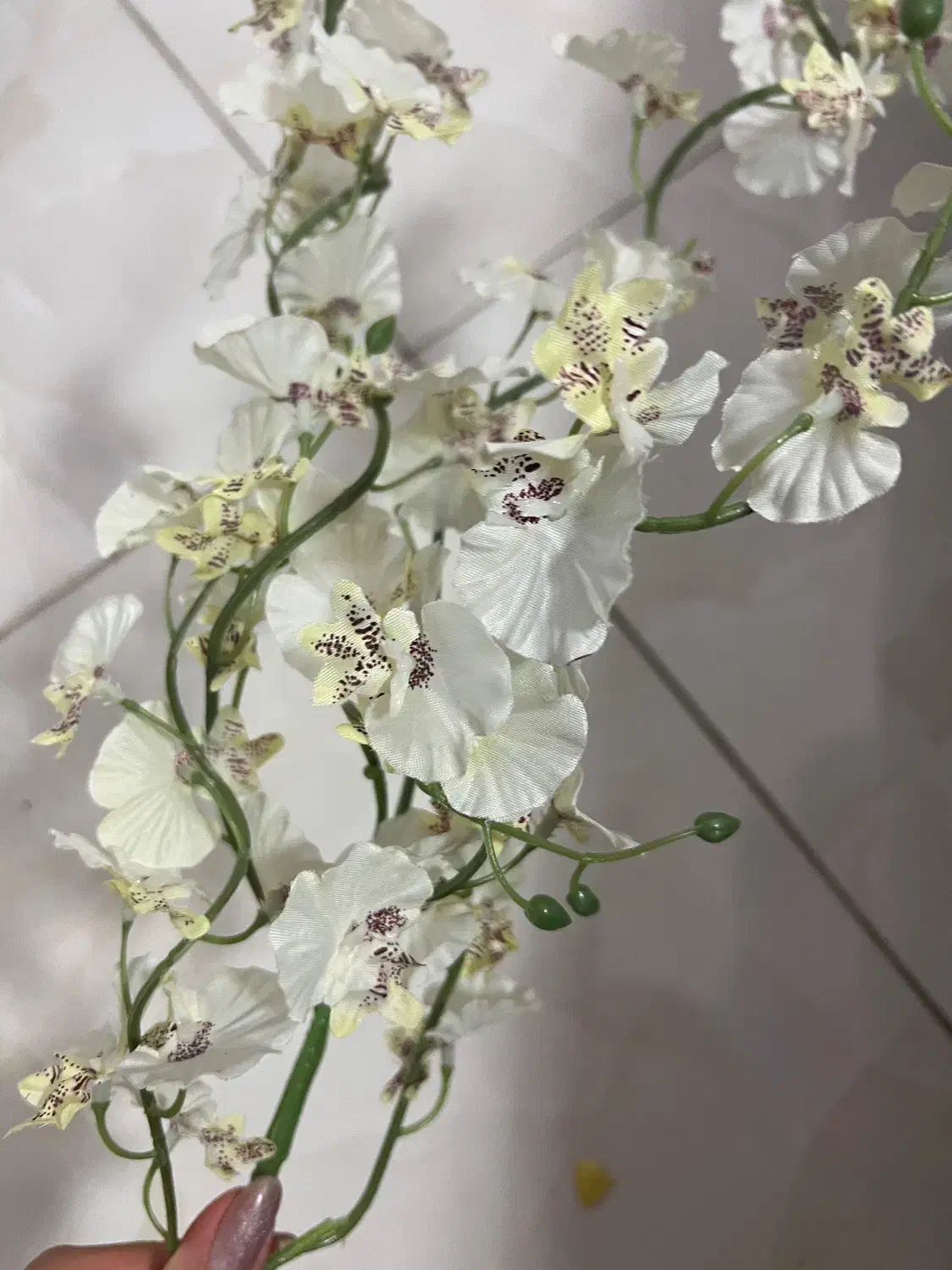 گل مصنوعی۶ شاخه|گل مصنوعی|رشت, حمیدیان|دیوار