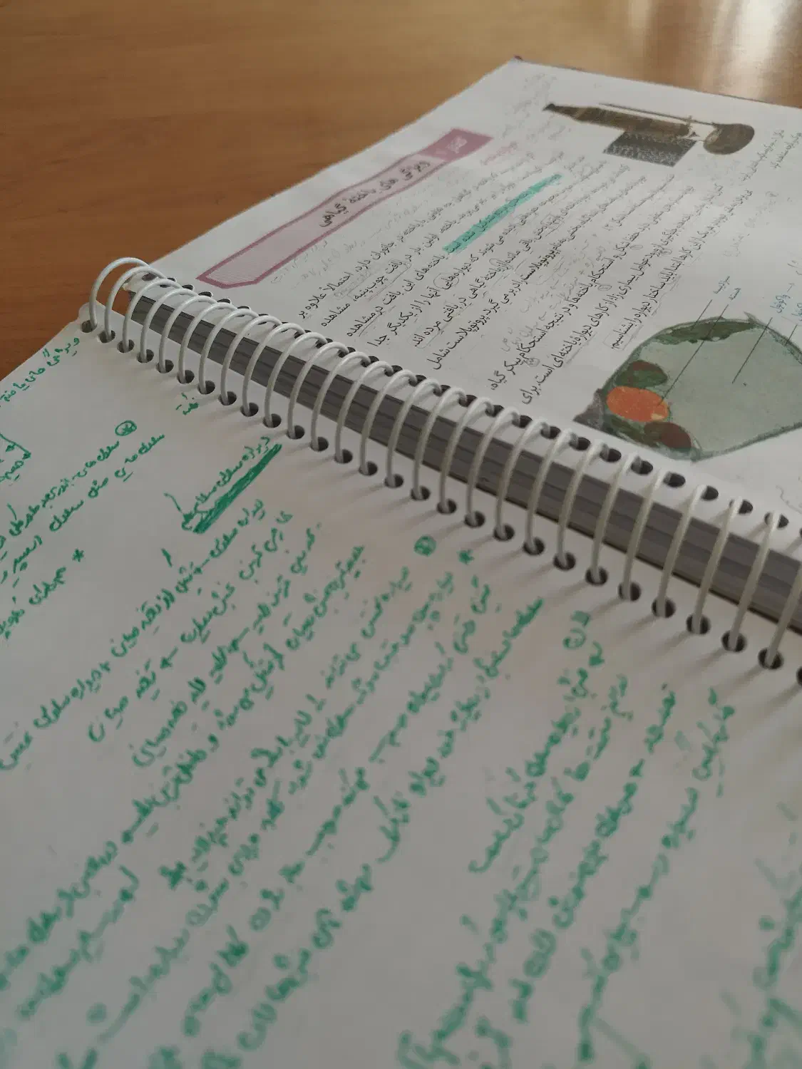 مشاوره و تدریس زیست شناسی کنکور|خدمات آموزشی|کرمان, |دیوار