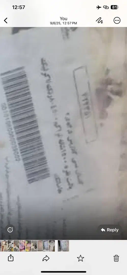 فرش نو|فرش|اصفهان, شیخ طوسی|دیوار