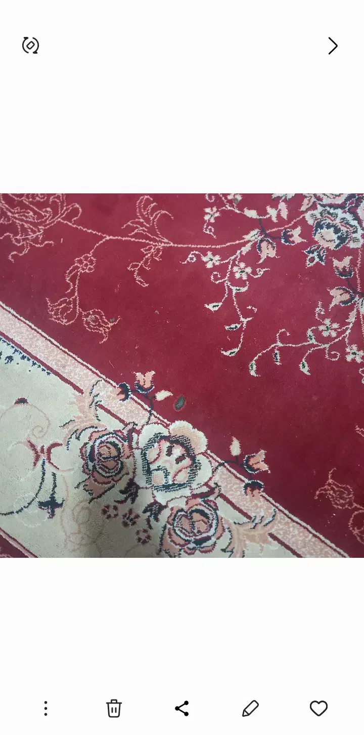 فرش ۱۲ متری. دست دوم‌ بدون پا‌رگی سالم درسپیدان‌|فرش|سپیدان, |دیوار