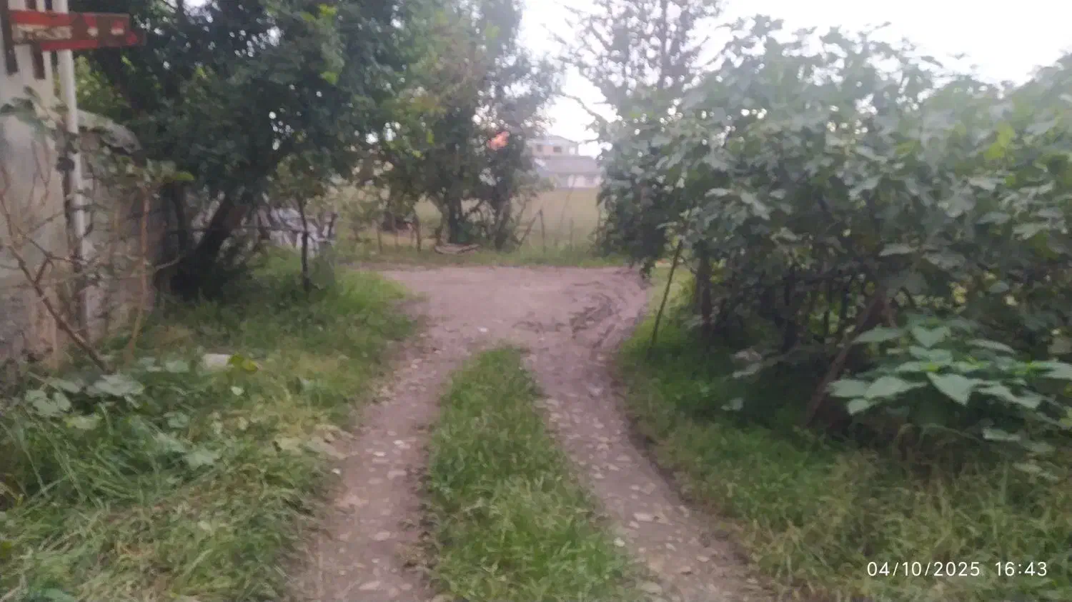 ۳۵۰متر زمین مسکونی متری ۲۸۵۰مقطوع فوری|فروش زمین و ملک کلنگی|رضوانشهر, |دیوار