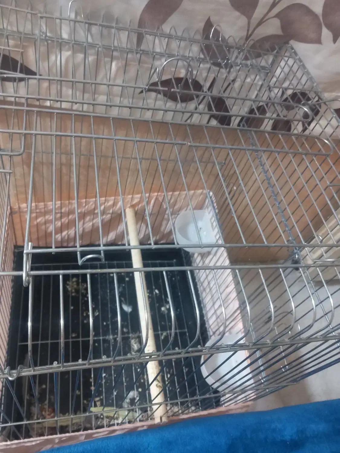 قفس بزرگ. کاسکو و عروس هلندی|لوازم جانبی حیوانات|ری, فیروزآبادی|دیوار