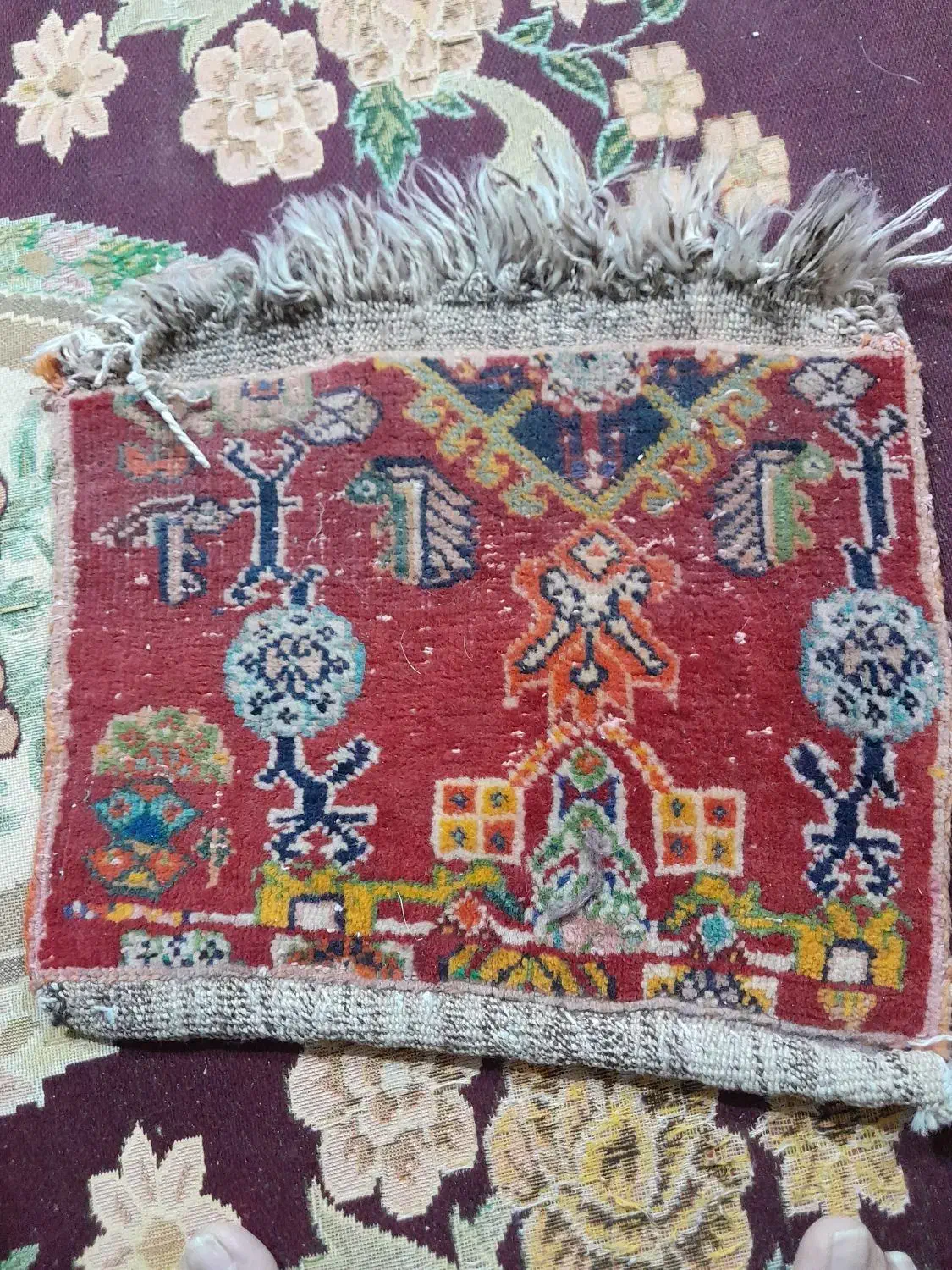 فروش قالیچه|فرش|فیروزآباد (فارس), |دیوار