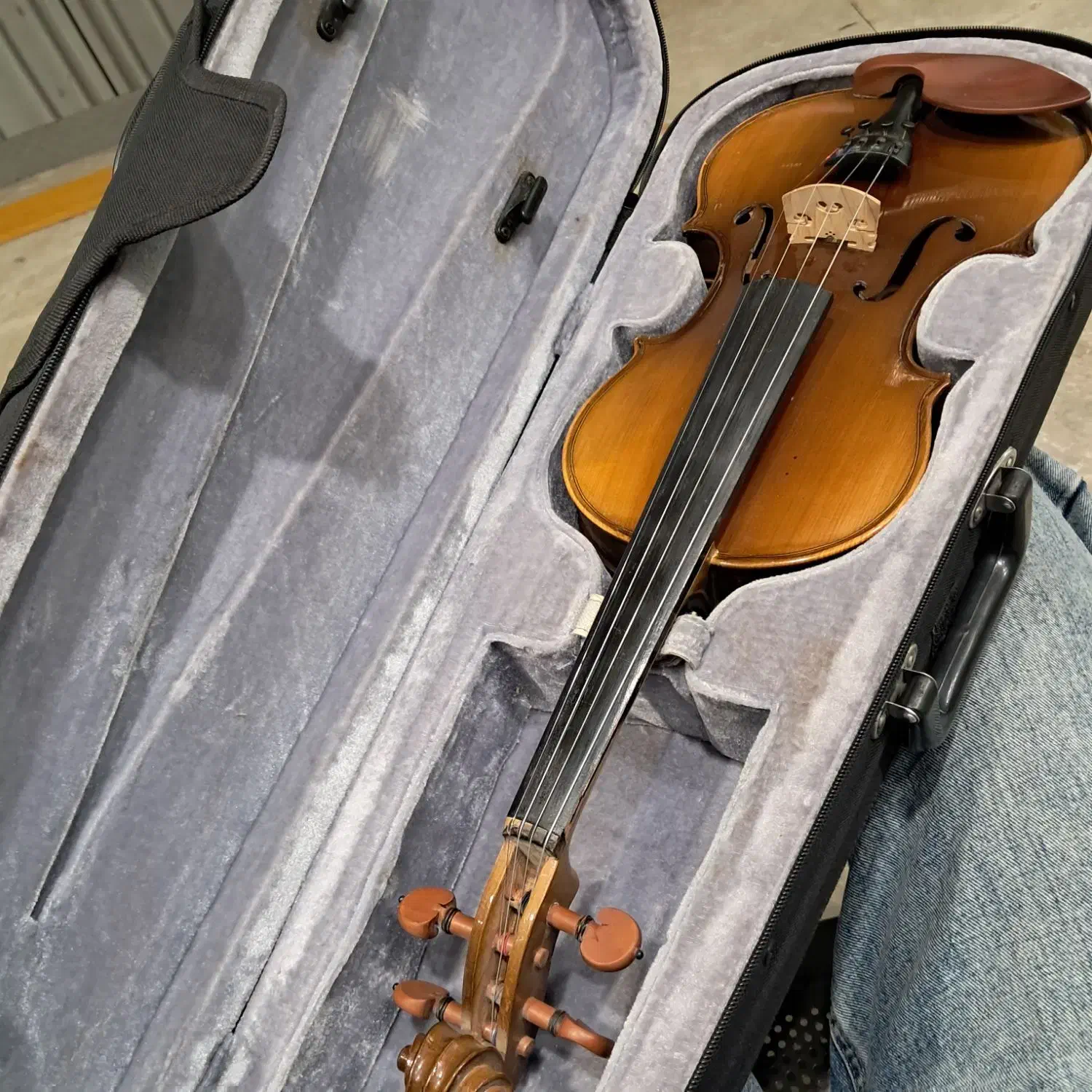 ویلن لکتو|ویولن|اصفهان, برازنده|دیوار