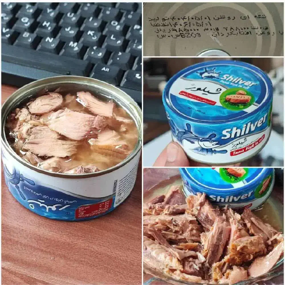 شیلور کنسرو تن ماهی هوور درجه یک|خوردنی و آشامیدنی|تهران, گمرک|دیوار