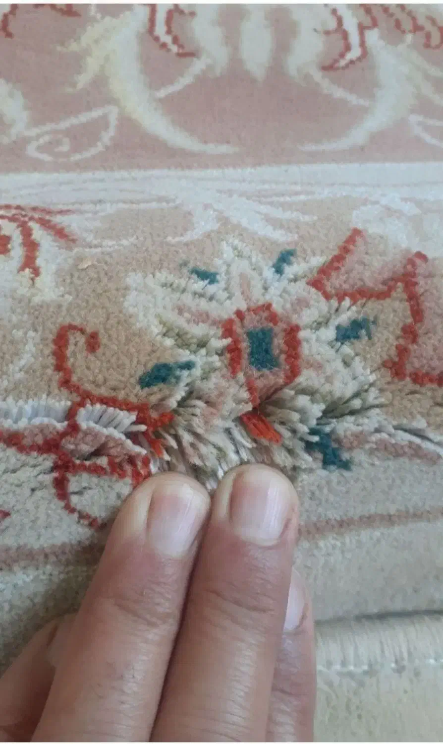 فرش 12متری پردیسان نخ ابریشم دلیجان  سه عدد|فرش|چهارباغ, |دیوار