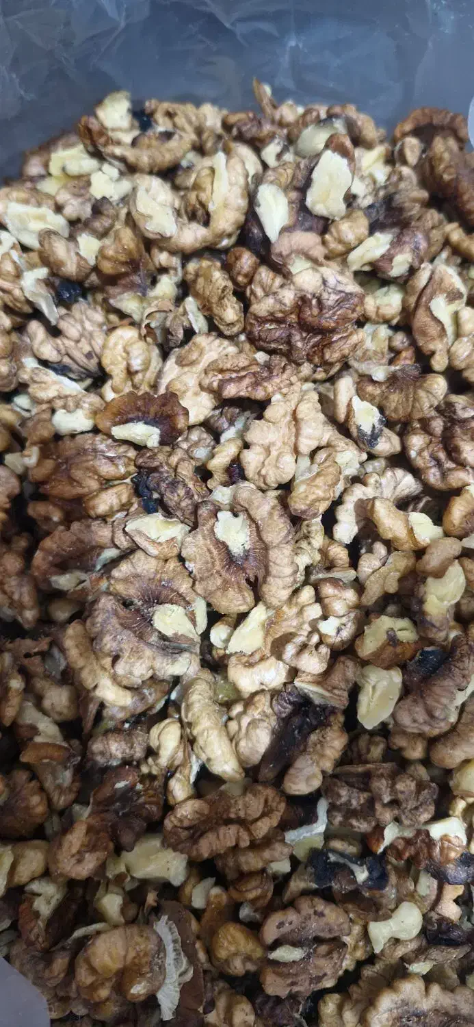 فروش مغز گردو تازه تویسرکان|خوردنی و آشامیدنی|اسلامشهر, شهرک قائمیه|دیوار