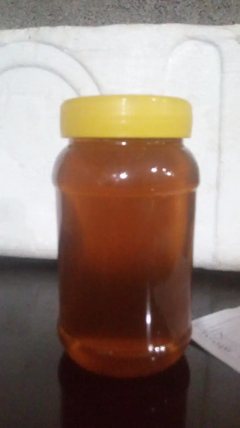 عسل تغذیه|خوردنی و آشامیدنی|مشهد, سرافرازان|دیوار