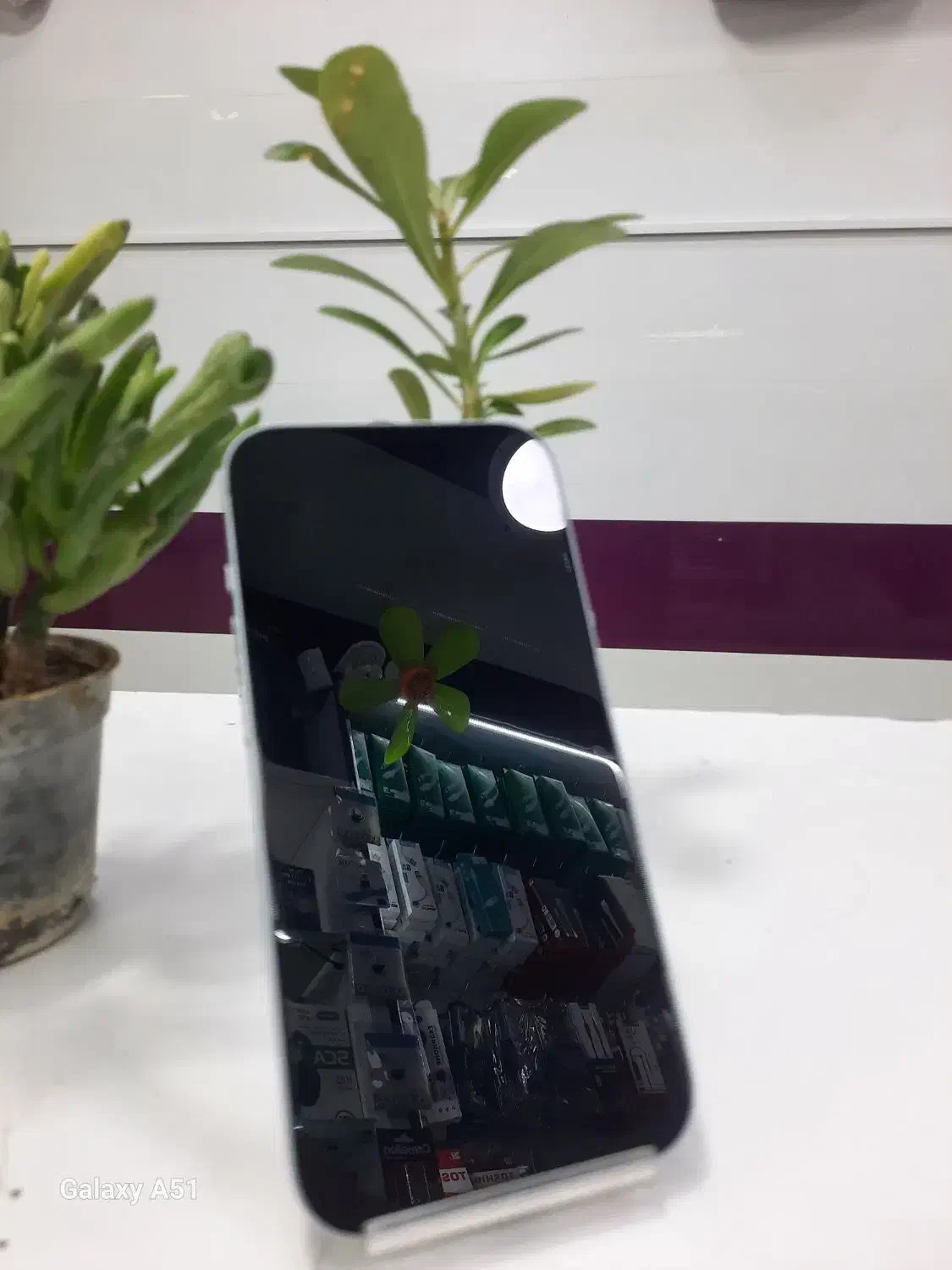 ایفون ۱۵ نرمال (سونیک موبایل)|موبایل|کرمانشاه, |دیوار