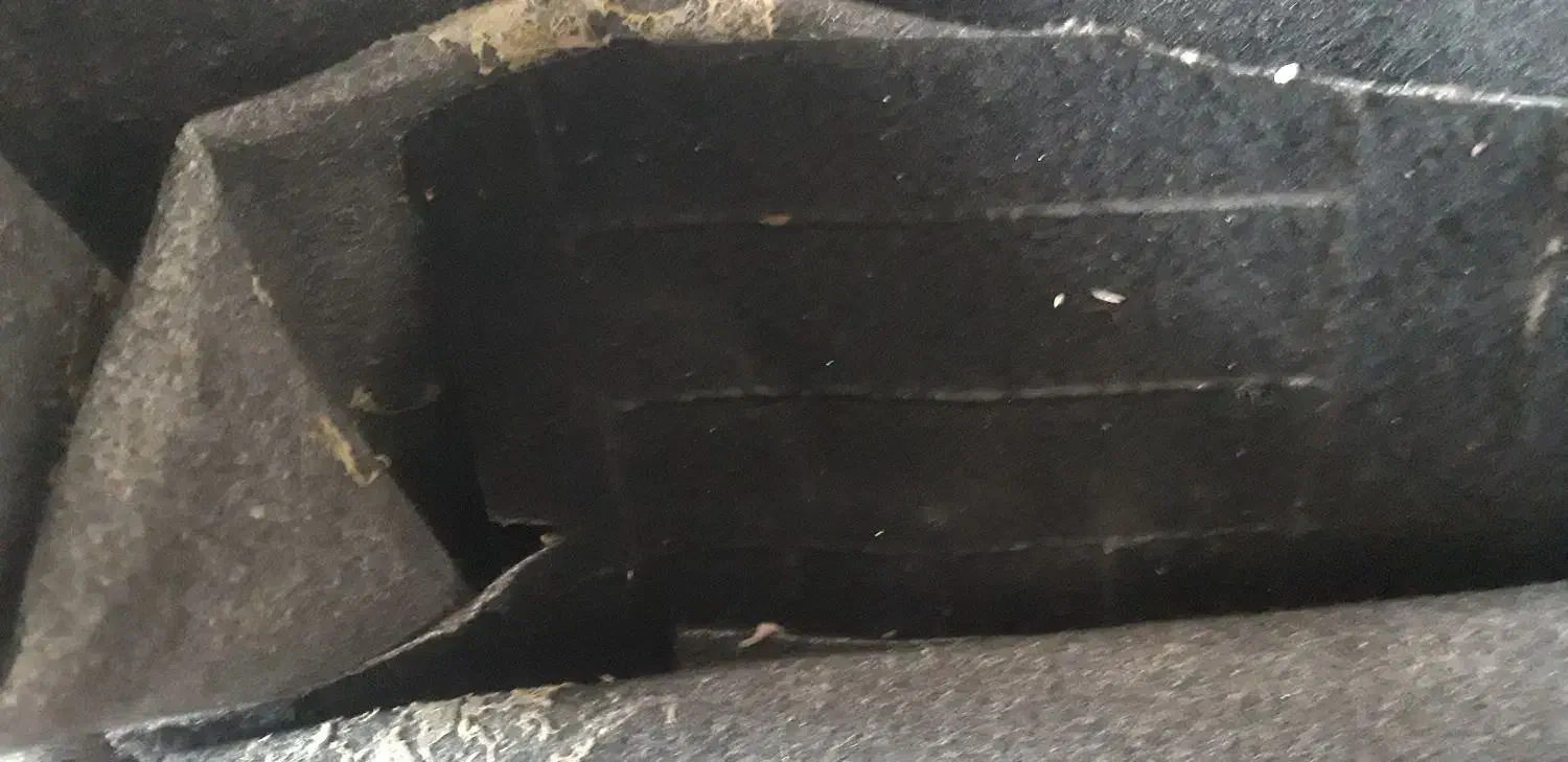 موکت|موکت|رشت, باهنر|دیوار