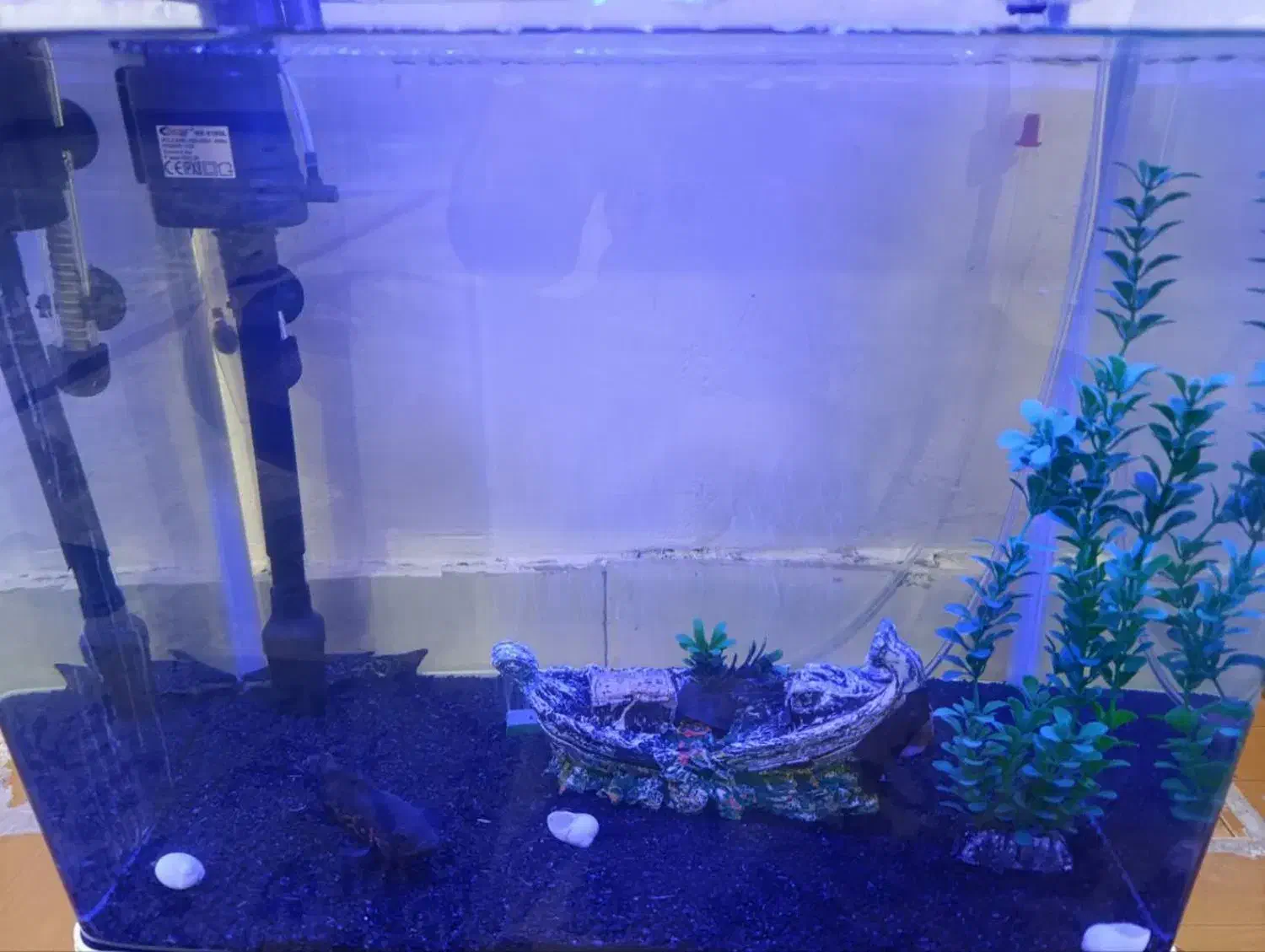 اکواریوم شیشه خم شرکتی دلساk500|ماهی|خرم‌آباد, |دیوار